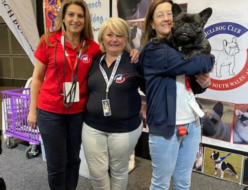 A great time for all at the Dog Lovers Show