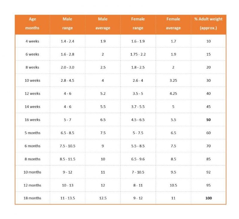 Weight for Age Chart – The French Bulldog Club of NSW Official Site