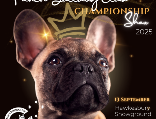 Championship Show – 13 September 2025