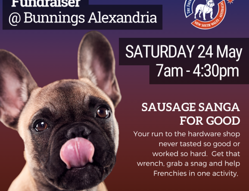 Frenchie Fundraiser BBQ at Bunnings Alexandria – 24 May 2025
