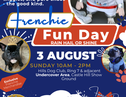 Frenchie Fun Day 2025