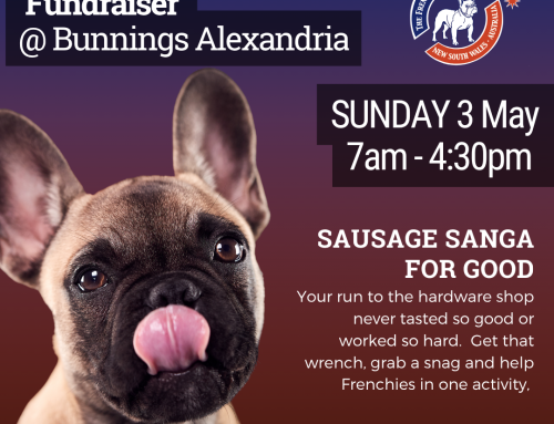 Frenchie Fundraiser BBQ at Bunnings Alexandria – 3 May 2026